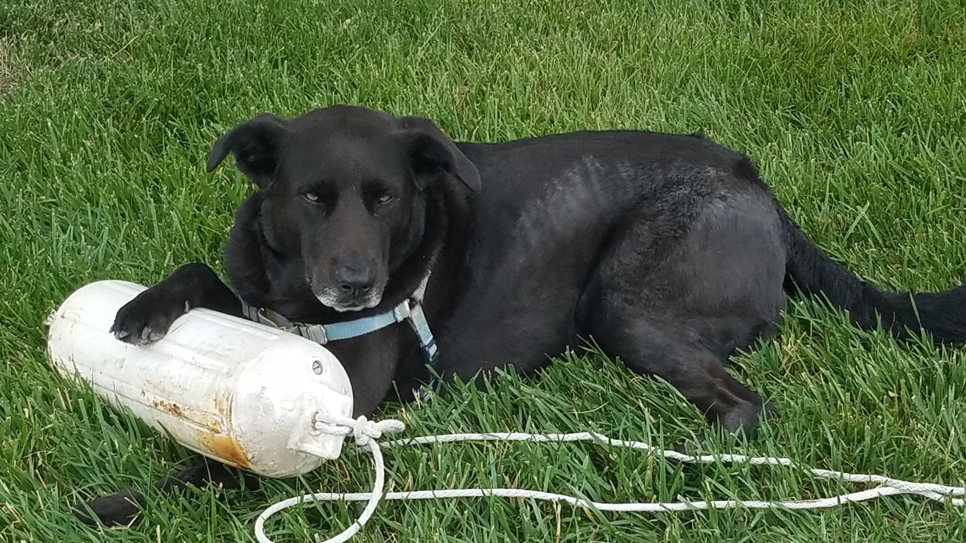 Molly