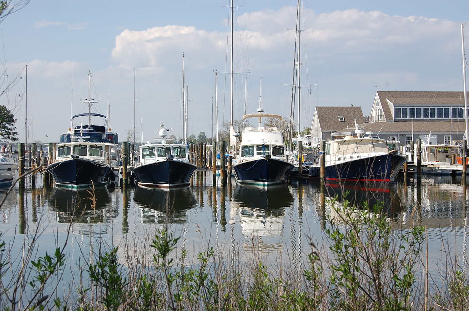 4 yachts at marina